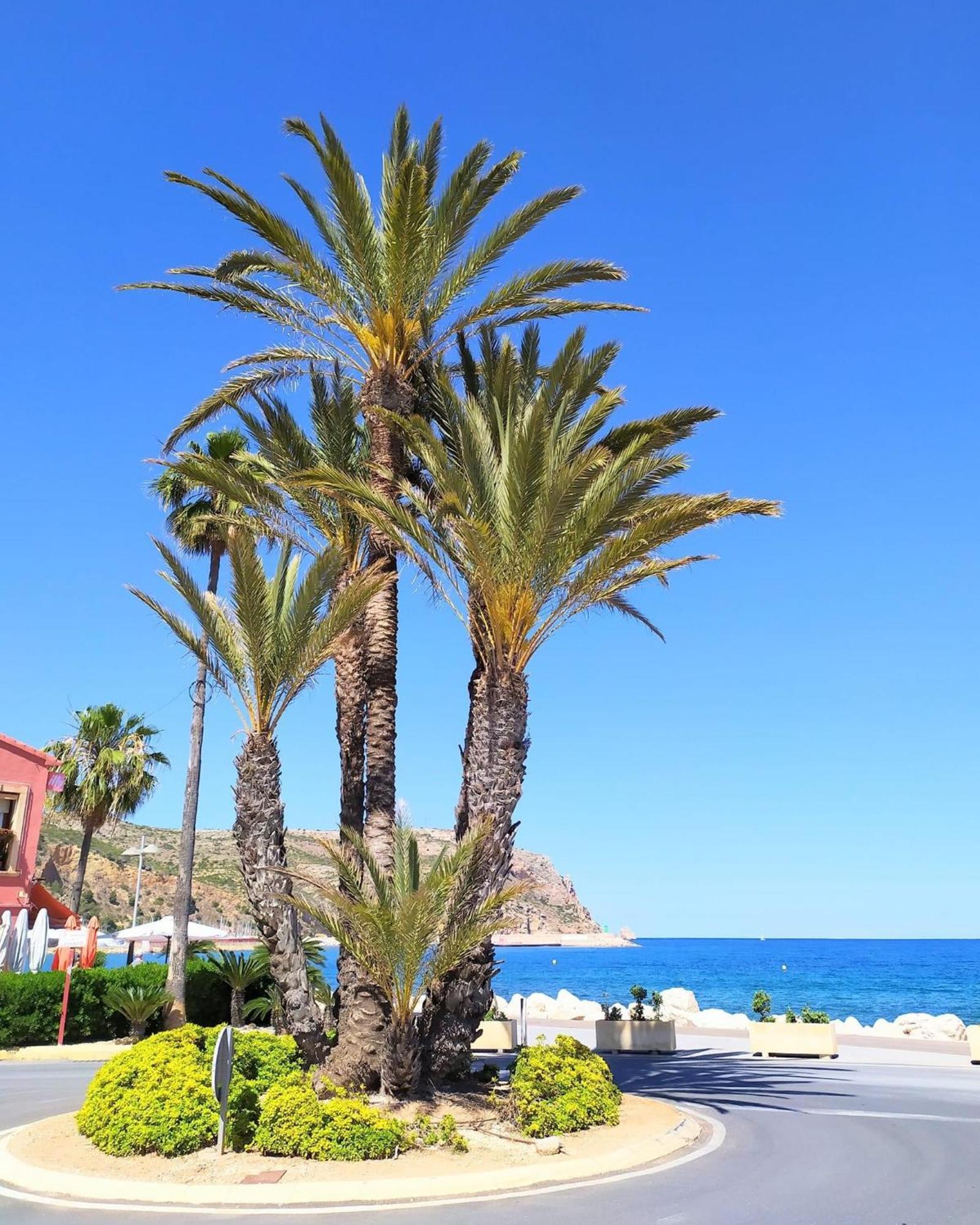 Javea Arenal Beach Buitenkant foto